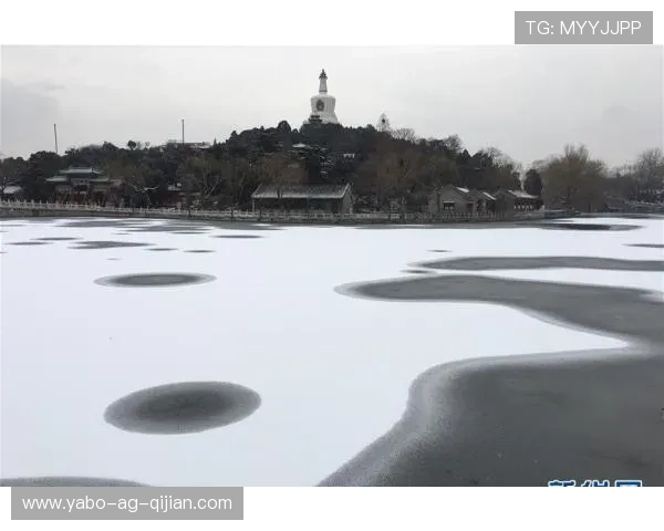 亞博体育app下载免费下载，轻松掌握最新体育资讯与赛事动态